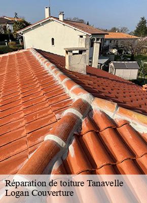 Réparation de toiture tanavelle-15100 Logan Couverture