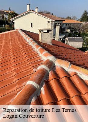 Réparation de toiture  les-ternes-15100 Logan Couverture 