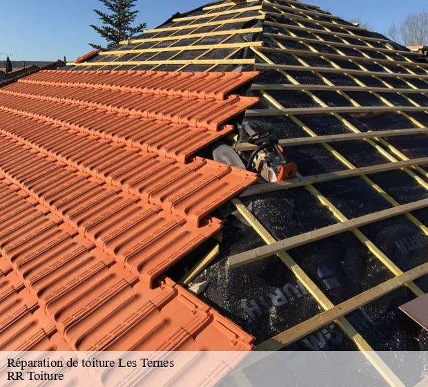 Réparation de toiture les-ternes-15100 RR Toiture