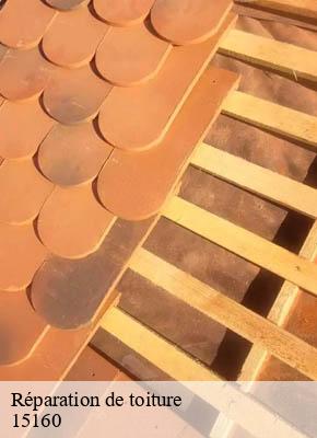 Réparation de toiture veze-15160 RR Toiture