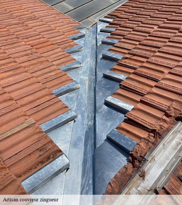 Artisan couvreur zingueur rageade-15500 Logan Couverture
