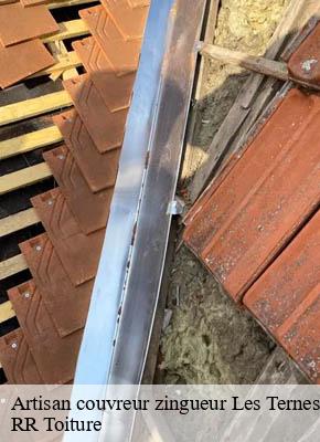 Artisan couvreur zingueur les-ternes-15100 RR Toiture