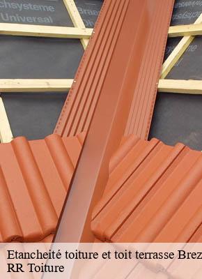Etancheité toiture et toit terrasse brezons-15230 RR Toiture