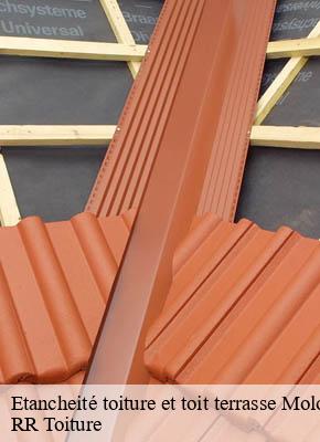 Etancheité toiture et toit terrasse  molompize-15500 RR Toiture 