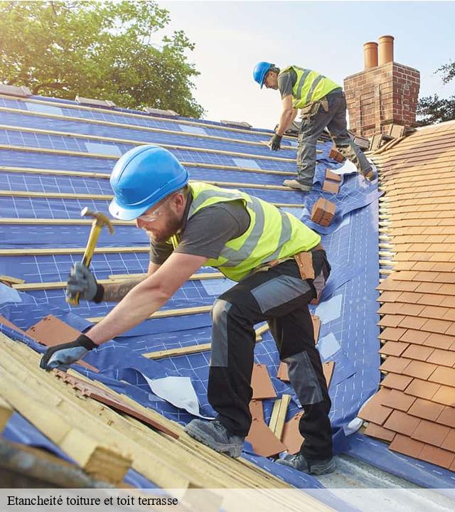Etancheité toiture et toit terrasse naucelles-15000 Logan Couverture