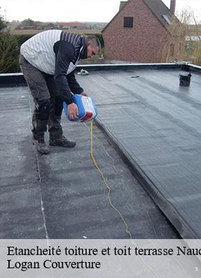 Etancheité toiture et toit terrasse naucelles-15000 Logan Couverture