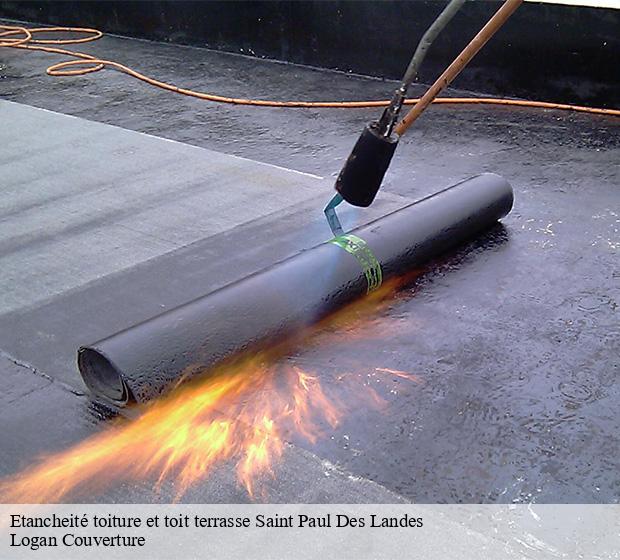 Etancheité toiture et toit terrasse  saint-paul-des-landes-15250 Logan Couverture 