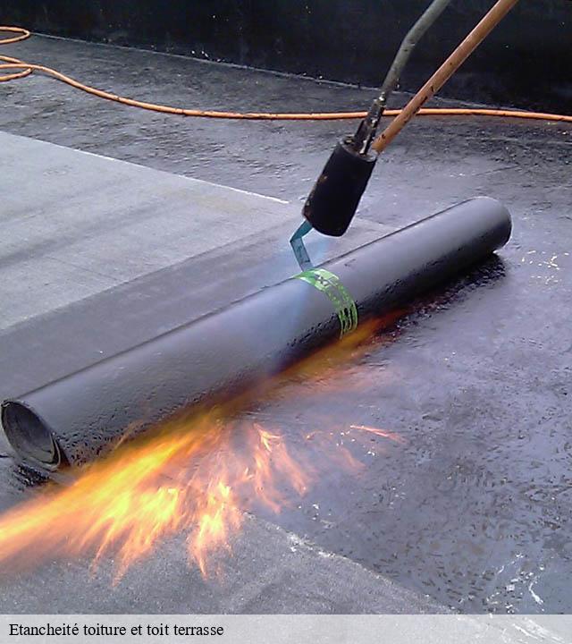 Etancheité toiture et toit terrasse valjouze-15170 RR Toiture