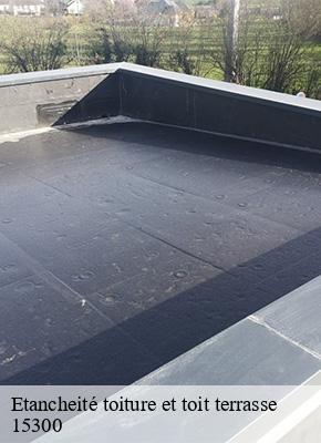 Etancheité toiture et toit terrasse  valuejols-15300 Logan Couverture 
