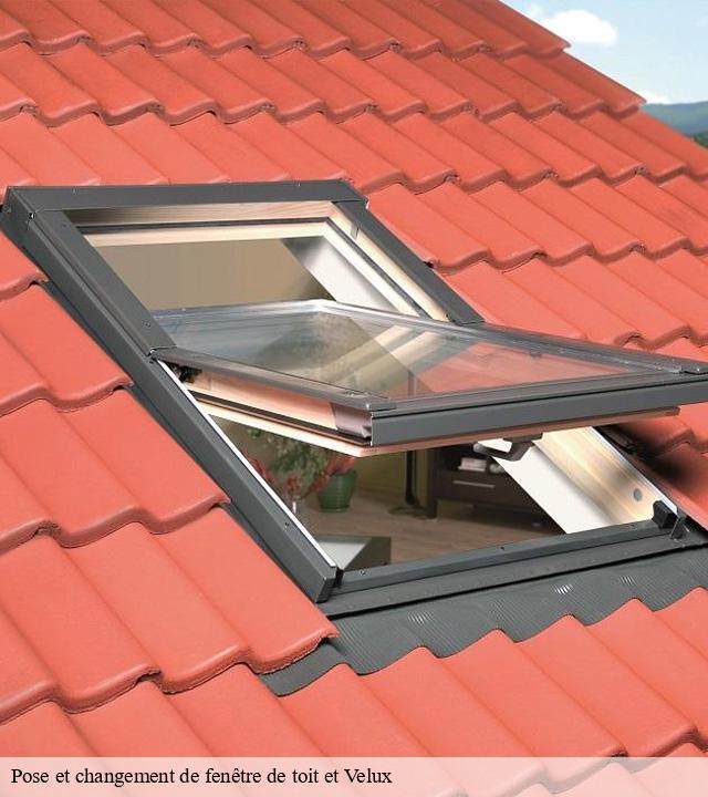 Pose et changement de fenêtre de toit et Velux  chaudes-aigues-15110 MIODET ISAAC