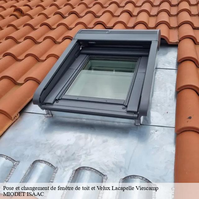Pose et changement de fenêtre de toit et Velux  lacapelle-viescamp-15150 MIODET ISAAC