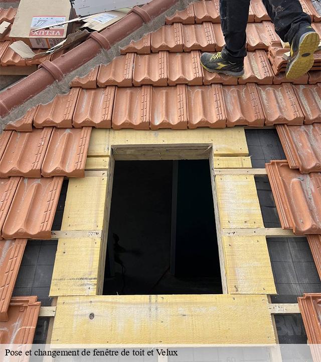 Pose et changement de fenêtre de toit et Velux lascelle-15590 Logan Couverture