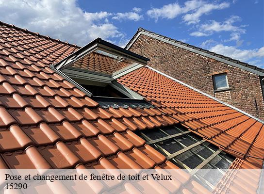 Pose et changement de fenêtre de toit et Velux parlan-15290 Logan Couverture