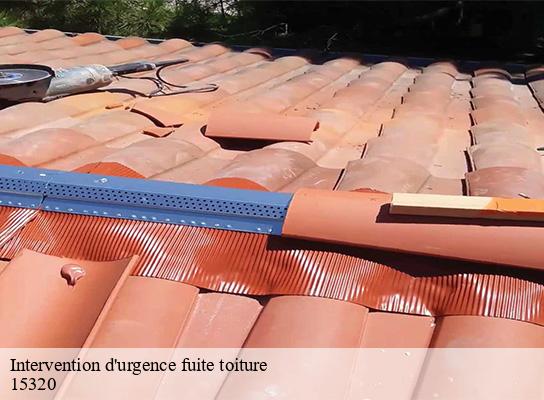 Intervention d'urgence fuite toiture clavieres-15320 Logan Couverture