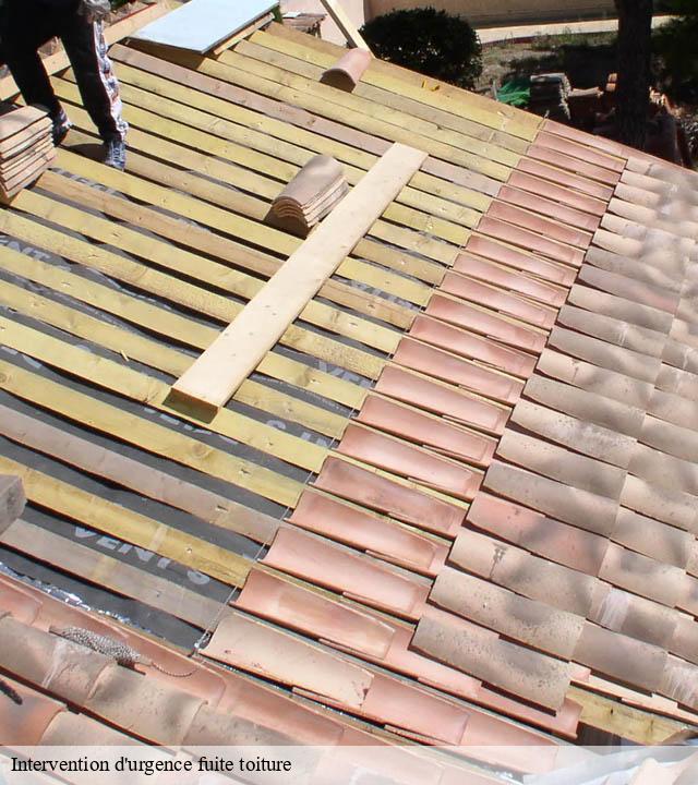 Intervention d'urgence fuite toiture lugarde-15190 RR Toiture