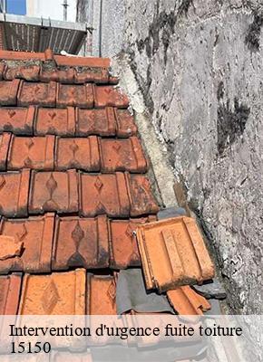 Intervention d'urgence fuite toiture montvert-15150 Logan Couverture