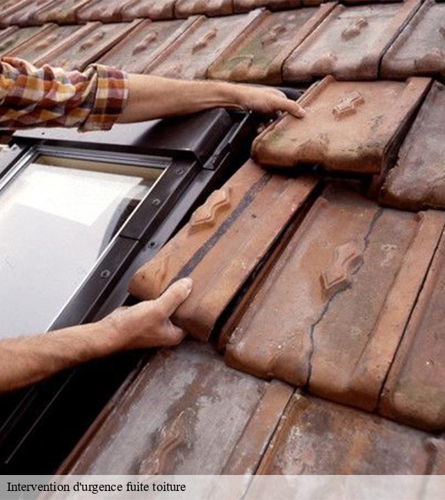 Intervention d'urgence fuite toiture   pleaux-15700 Logan Couverture 