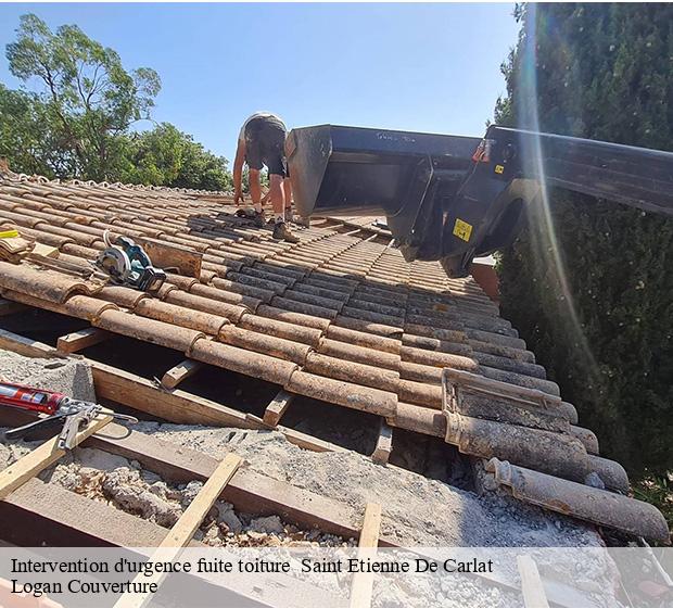 Intervention d'urgence fuite toiture saint-etienne-de-carlat-15130 Logan Couverture