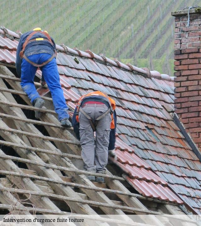 Intervention d'urgence fuite toiture   saint-martin-sous-vigouroux-15230 MIODET ISAAC