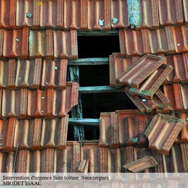 Intervention d'urgence fuite toiture   senezergues-15340 MIODET ISAAC