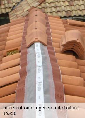 Intervention d'urgence fuite toiture   veyrieres-15350 RR Toiture 
