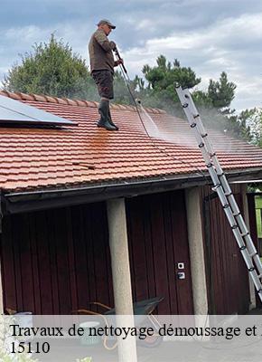 Travaux de nettoyage démoussage et hydrofuge de toiture et façade anterrieux-15110 Logan Couverture