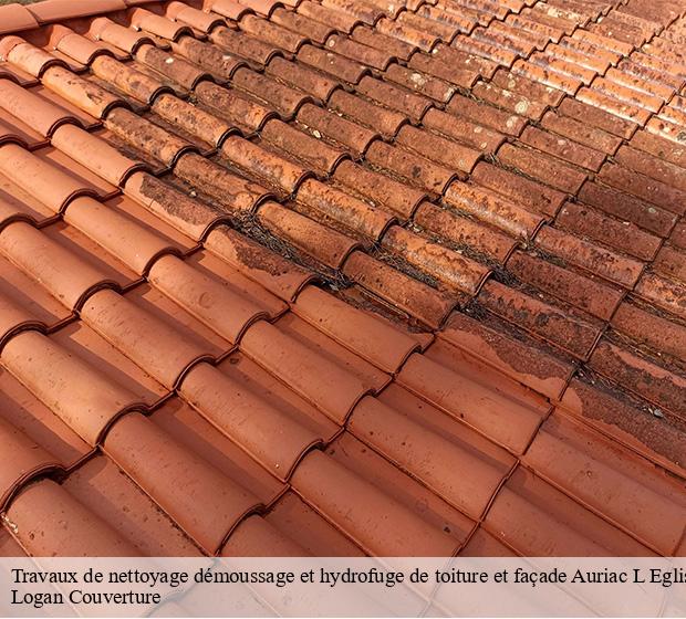 Travaux de nettoyage démoussage et hydrofuge de toiture et façade auriac-l-eglise-15500 Logan Couverture