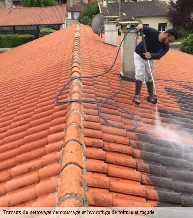 Travaux de nettoyage démoussage et hydrofuge de toiture et façade  chalvignac-15200 MIODET ISAAC