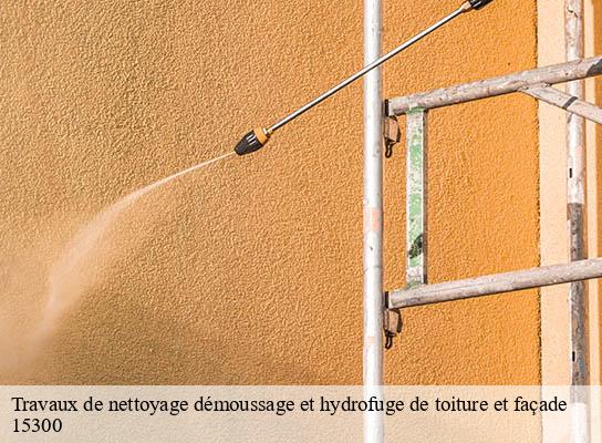 Travaux de nettoyage démoussage et hydrofuge de toiture et façade chastel-sur-murat-15300 RR Toiture
