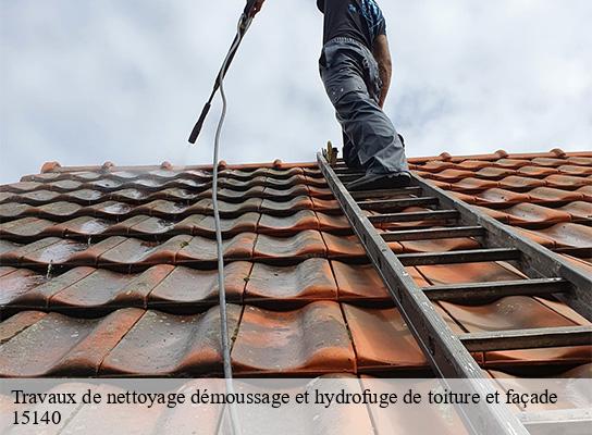 Travaux de nettoyage démoussage et hydrofuge de toiture et façade  fontanges-15140 Logan Couverture 