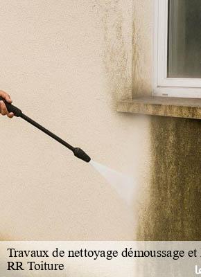 Travaux de nettoyage démoussage et hydrofuge de toiture et façade jussac-15250 RR Toiture