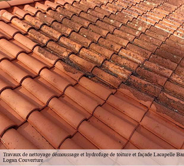 Travaux de nettoyage démoussage et hydrofuge de toiture et façade  lacapelle-barres-15230 Logan Couverture 
