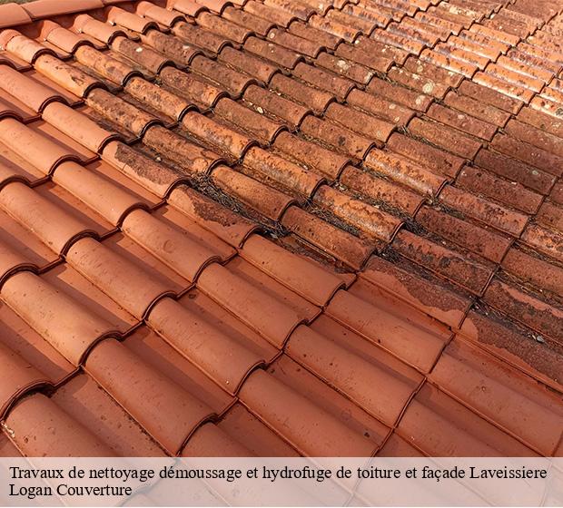 Travaux de nettoyage démoussage et hydrofuge de toiture et façade  laveissiere-15300 Logan Couverture 