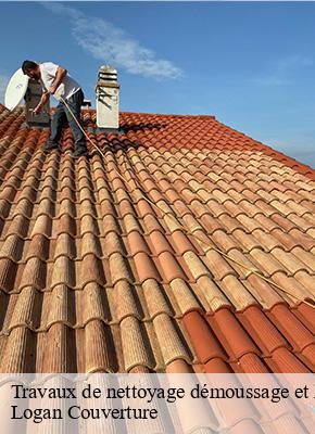 Travaux de nettoyage démoussage et hydrofuge de toiture et façade mauriac-15200 Logan Couverture