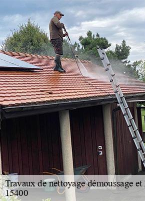Travaux de nettoyage démoussage et hydrofuge de toiture et façade  menet-15400 Logan Couverture 
