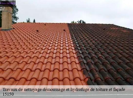 Travaux de nettoyage démoussage et hydrofuge de toiture et façade  montvert-15150 MIODET ISAAC