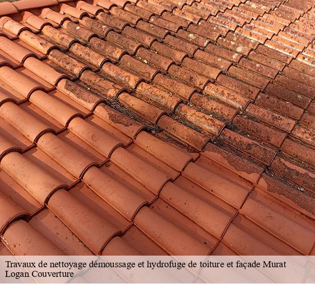 Travaux de nettoyage démoussage et hydrofuge de toiture et façade  murat-15300 Logan Couverture 