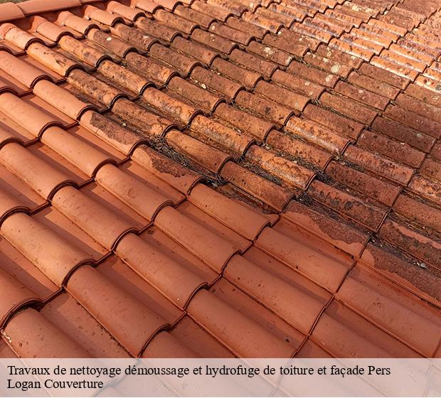 Travaux de nettoyage démoussage et hydrofuge de toiture et façade  pers-15290 Logan Couverture 