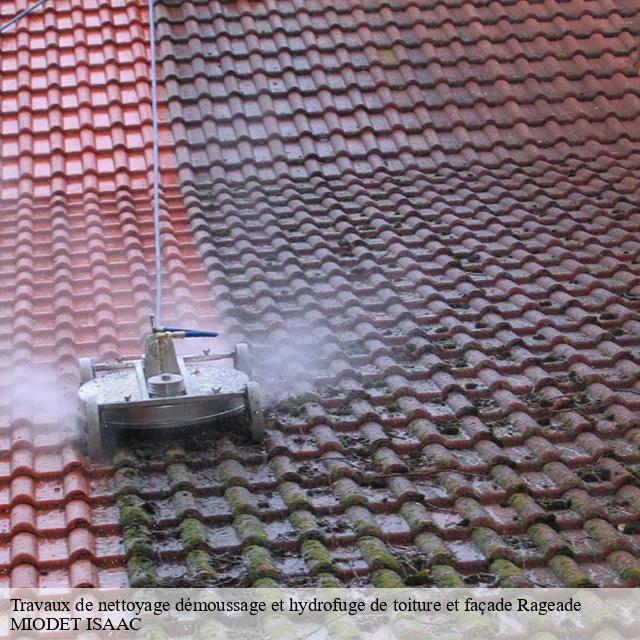 Travaux de nettoyage démoussage et hydrofuge de toiture et façade  rageade-15500 MIODET ISAAC