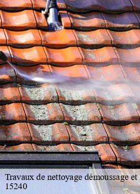 Travaux de nettoyage démoussage et hydrofuge de toiture et façade saignes-15240 RR Toiture