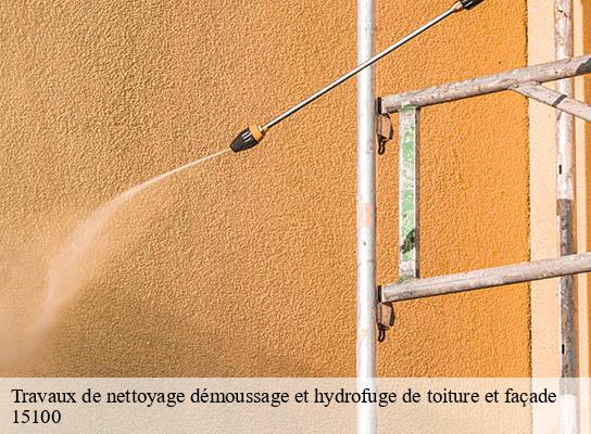Travaux de nettoyage démoussage et hydrofuge de toiture et façade saint-flour-15100 RR Toiture