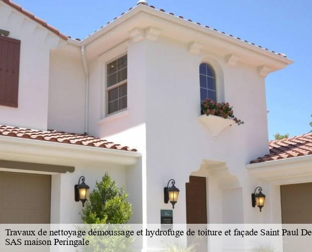 Travaux de nettoyage démoussage et hydrofuge de toiture et façade  saint-paul-des-landes-15250 SAS maison Peringale