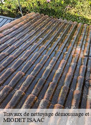 Travaux de nettoyage démoussage et hydrofuge de toiture et façade  saint-santin-de-maurs-15600 MIODET ISAAC