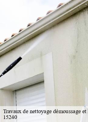 Travaux de nettoyage démoussage et hydrofuge de toiture et façade  sauvat-15240 SAS maison Peringale