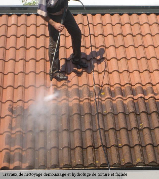 Travaux de nettoyage démoussage et hydrofuge de toiture et façade senezergues-15340 RR Toiture