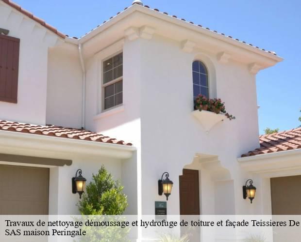 Travaux de nettoyage démoussage et hydrofuge de toiture et façade  teissieres-de-cornet-15250 SAS maison Peringale