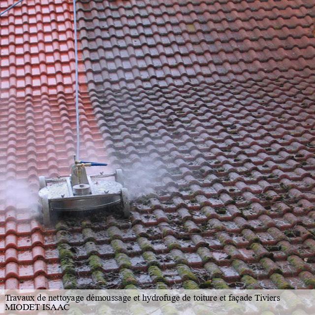Travaux de nettoyage démoussage et hydrofuge de toiture et façade  tiviers-15100 MIODET ISAAC