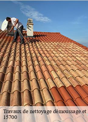 Travaux de nettoyage démoussage et hydrofuge de toiture et façade  tourniac-15700 MIODET ISAAC