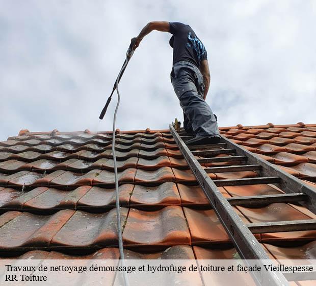 Travaux de nettoyage démoussage et hydrofuge de toiture et façade vieillespesse-15500 RR Toiture