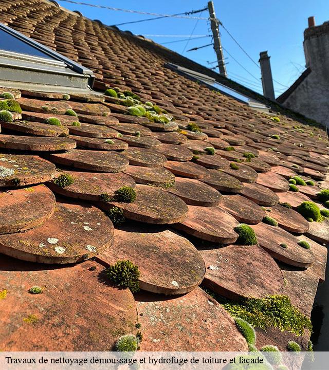 Travaux de nettoyage démoussage et hydrofuge de toiture et façade  vitrac-15220 Logan Couverture 